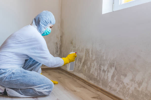 Mold inspector in Ramsey performing thermal imaging