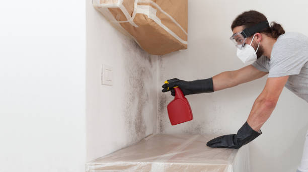 Attic Mold Remediation treatment on roof deck in Ramsey